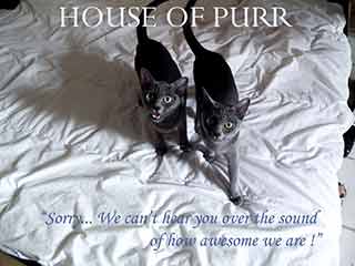 House of Purr